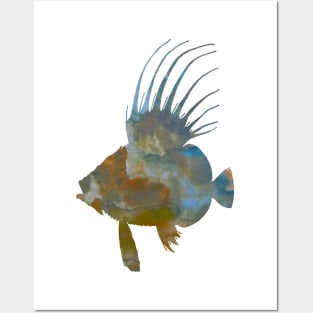 Dory Fish Posters and Art